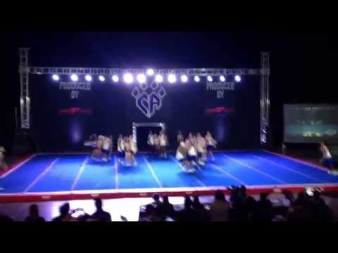 california wildcats