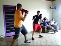 Negaum Vs PitBoy