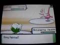 Pokemon Wifi: VS. mistyzbettr2 (7-24-08) (Part 2)