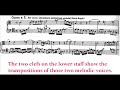 Bach: Endlessly Rising Modulation Canon (with score!) Bach: Endlessly Rising Modulation Canon (with score!)