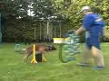 Belgian Ringsport Training at Deurne