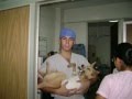 oddie surgery