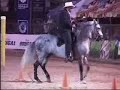 Campeon de Campeones