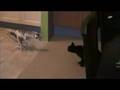 Fudge vs Roboraptor