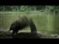 Peugeot 207 SW TV Ad videos