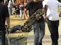 High dude gets punched by skater High dude gets punched by skater