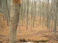 Enduro Krzeszowice nad Granością Darek wr 250