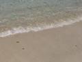 奄美大島　国直海岸　Amami-oshima Kuninao Beach
