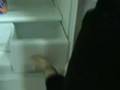 Piso de Soltero