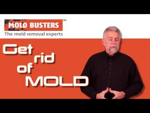 how to prevent mold after a leak