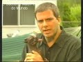 Veja só! o cachorro nais feio do mundo! esse é mais feio que a peste.