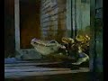 Budweiser Werbung – Die Fr&ouml;sche und das Krokodil