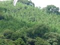 動画　2010.08.21　さとちゃん浅間山北東フライト白田ランディング