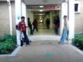 Bolitocha 70