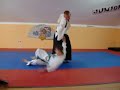 Realni Aikido