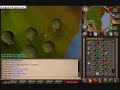guid to 99 fletch