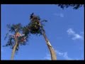 jauja gran cortamonte huarancayo