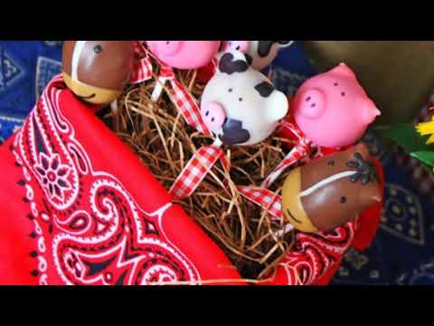 video-linktoworks-Farm Animal Party - Farm Baby Shower Inspiration