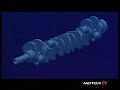 Ferrari Motor \"Duodici Cilindri\"