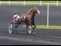 Prix D amerique 2010