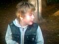 videos de squirells chester