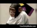monkey sees..monky kiss