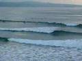 Surfers in Cornwall