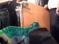 Pleo, a Robotic Dinosaur with Programmable  Pet Personality
