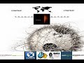 Click here to watch this video Badbug - Stop Watching [Iono Austria]