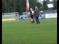 FCI 2009 - C|FCI WM / WC 2009 Schwanenstadt (A)<br/>Handler: LUTTINEN Elise (FIN)<br/>Dog: Tämä on Alligaattori<br/>Schutz/Protectionwork