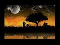 أوعى تصدقني-فضل شاكر