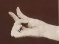 Mei Lanfang hand gestures (second version) Mei Lanfang hand gestures (second version)