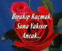 almuslu sosyete mehmet almuslu sosyete mehmet