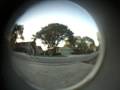 videos de Some Flatground