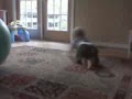 VID 00003
