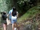 iao valley [going down]