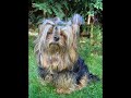 Delphy als Supermodel!