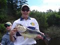 Big Top Water Bass