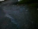 Airsoft Gun cam Airsoft Gun cam