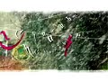 titre extrait de l'album dermaphrodite (2006), une promenade, cam�ra dv en main, autour de chez moi � st cloud, et � hossegor ! il neige, le soleil se l�ve, se couche, le poisson rouge dans son bocal qui avale son charabia... le tout mont� avec talent par benjamin sanchez.