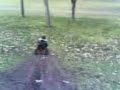 Ferdinando con il kart a villa borghese...