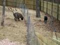videos de 01-06-2009 022