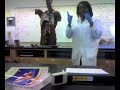 blood flow arteries/veins model