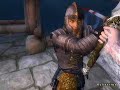 Elder Scrolls Oblivion Rampage 3