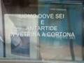 UOMO DOVE SEI E ANTARTIDE A CORTONA