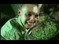 Molesta Ewenement- Wszystko co najlepsze