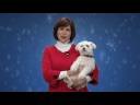 Happy Holidays HH_3 in HD