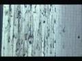 videos de NIHE Fails to Meet Commitment to Seven Towers - Sept 2007
