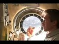 Japanese Cup Noodle commercial