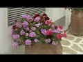 Naxos & Paros  the Magical islands Part 2
